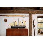 LEGO® ICONS™ - Endurance (10335)