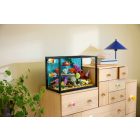 LEGO® ICONS™ - Trópusi akvárium (10366)