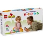 LEGO DUPLO - Első készleteim - Állatok a vonaton (10412)