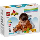 LEGO® DUPLO® - Állatcsaládok a vadvilágban: Pingvinek és oroszlánok (10442)