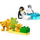 LEGO® DUPLO® - Állatcsaládok a vadvilágban: Pingvinek és oroszlánok (10442)