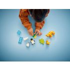 LEGO® DUPLO® - Állatcsaládok a vadvilágban: Pingvinek és oroszlánok (10442)