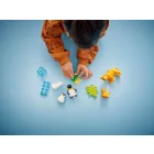 LEGO® DUPLO® - Állatcsaládok a vadvilágban: Pingvinek és oroszlánok (10442)