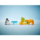 LEGO® DUPLO® - Állatcsaládok a vadvilágban: Pingvinek és oroszlánok (10442)