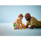 LEGO DUPLO Disney™ - Micimackó születésnapi zsúrja (10457)