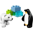 LEGO® Duplo® - Állatkerti barátok (10501)