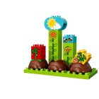 LEGO® DUPLO® - Első kertem (10819)