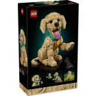 LEGO® ICONS™ - Golden retriever kutyus (11384)