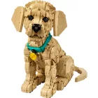 LEGO® ICONS™ - Golden retriever kutyus (11384)