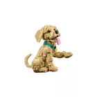 LEGO® ICONS™ - Golden retriever kutyus (11384)