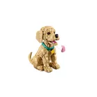 LEGO® ICONS™ - Golden retriever kutyus (11384)