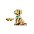 LEGO® ICONS™ - Golden retriever kutyus (11384)