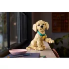 LEGO® ICONS™ - Golden retriever kutyus (11384)
