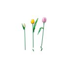 LEGO® The Botanical Collection - Tulipáncsokor (11501)