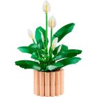 LEGO® Botanicals - Vitorlavirág (11504)