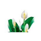 LEGO® Botanicals - Vitorlavirág (11504)