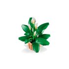 LEGO® Botanicals - Vitorlavirág (11504)