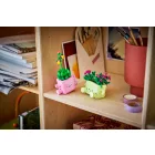 LEGO® Botanicals - Hintázó növények (11506)