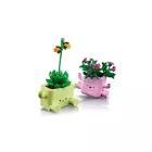 LEGO® Botanicals - Hintázó növények (11506)