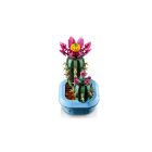 LEGO® Botanicals - Virágzó kaktusz (11509)