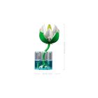 LEGO® Botanicals - Tündérrózsák (11511)
