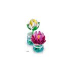 LEGO® Botanicals - Tündérrózsák (11511)