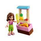 LEGO® Friends - Olivia homokfutója (41010)