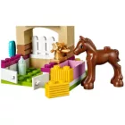 LEGO® Friends - Apró kiscsikó (41089)