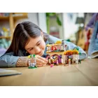 LEGO® Disney™ Kívánság - Asha házikója (43231)