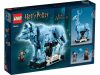 LEGO® Harry Potter™ - Expecto Patronum (76414)