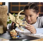 LEGO® Jurassic World - Dinómaradványok: Triceratops-koponya (76969)