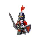 LEGO® Castle - Dragons Accessory Set (850889)